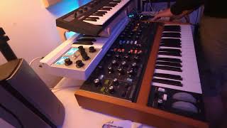 ARP Warden  improvised Jam on the Poly D OP1 Field and Mellotron [upl. by Sarchet427]