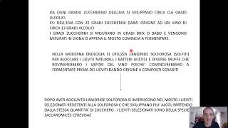 La vinificazione  Terza parte [upl. by Hamburger]