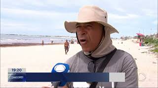 Algas marinhas afastam banhistas na Praia do Forte e causam prejuízos em Cabo Frio [upl. by Daph]