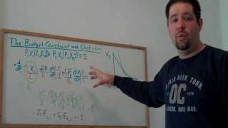 15a Budget Constraint Elasticities CalculusBased [upl. by Susy]