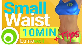 Waist Workout Small Waist Exercises  10 Minutes [upl. by Ecnatsnoc]