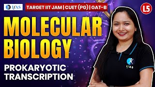 Prokaryotic Transcription for IIT JAM Biotechnology  GAT B  CUET PG 2025  Molecular Biology  L5 [upl. by Chad637]