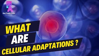 What Are Cellular Adaptations By Dr Aditi Kumar MD Pathology [upl. by Jeannette]