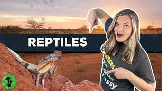 All About Reptiles  Classification amp Adaptation [upl. by Enitselec48]