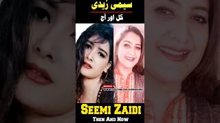 Tv Actress Seemi Zaidi Then And Now youtubeshorts [upl. by Marty378]