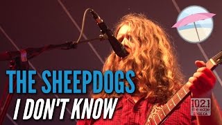 The Sheepdogs  I Dont Know Live at the Edge [upl. by Nanine]