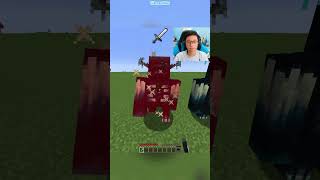 Minecraft Every Swords VS Warden はいよろこんで [upl. by Cutcliffe78]