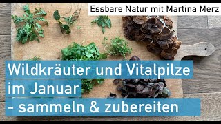 Wildkräuter amp Vitalpilze sammeln an der Amper Mitte Januar welche kennt ihr [upl. by Enidualc454]