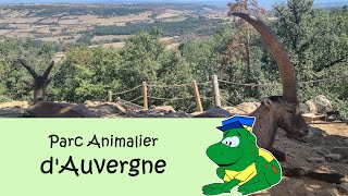 Parc Animalier dAuvergne 2023 [upl. by Rocco]