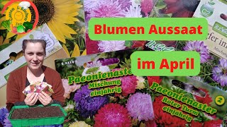 Blumen Aussaat im April 2022  Sonnenblumen und co [upl. by Isis]