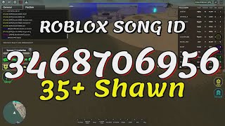 35 Shawn Roblox Song IDsCodes [upl. by Enaasiali]