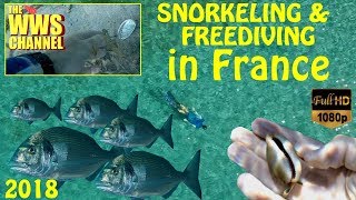 Snorkeling in the South Of France 2018 Fishes amp empty shells [upl. by Jaine]