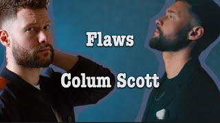 Flaws  Column Scott Audio Lyrics Video [upl. by Kone]