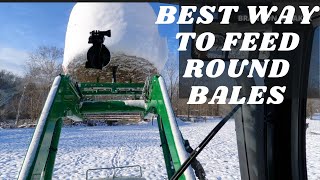 Best Way To Feed Round Bales [upl. by Eidoc]