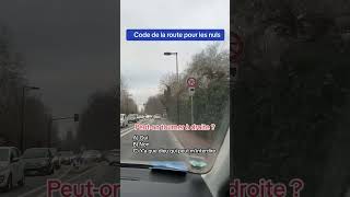 Code de la route pour les nuls autoecole permisdeconduire codedelaroute [upl. by Yelyr653]