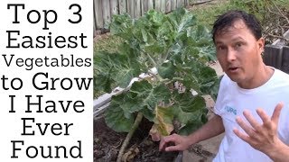 Top 3 Easiest Vegetables to Grow I Have Ever Found [upl. by Ait]