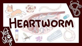 Heartworms Dont Actually Go To the Heart Unless They ABSOLUTELY Have To [upl. by Nekciv]