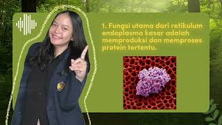 RETIKULUM ENDOPLASMA  Biologi Umum  PBE2024  Kelompok 3 [upl. by Latimore]