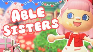 VALENTINES FAIRY CORE TOWN CORE ISLAND  ACNH ABLE SISTERS BUILD  ANIMAL CROSSING NEW HORIZONS [upl. by Yerahcaz717]