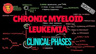 CHRONIC MYELOID LEUKEMIA Pathogenesis of clinical phases Accelerated phase Blast crisis of CML [upl. by Yrogreg]