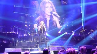 Céline Dion  On ne change pas Notre vidéo du 21112013 au Sportpaleis dAnvers [upl. by Ennahteb]