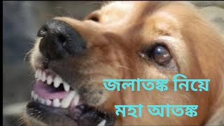 রেবিস হাইড্রোফোবিয়া এবং জলাতঙ্ক  rabies hydrophobia  Banikzone [upl. by Pedrick517]