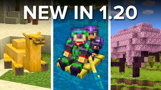 Everything NEW in Minecraft 120 Update [upl. by Muncey]