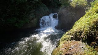 Brewery Park at Tumwater Falls [upl. by Airdnaed]