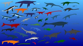 44 Largest Extinct Reptiles  Size Comparison  Plesiosaurs Pliosaurs Ichtyosaurs Mosasaurs [upl. by Elamor]