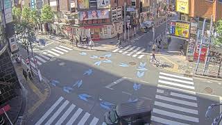 【Archive】Shinjuku Kabukicho Live Camera [upl. by Crifasi]