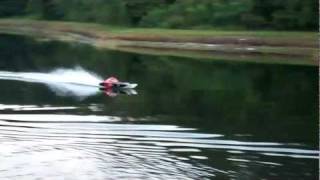 52 INch CATAMARAN 65 MPH Budweiser BUD Cat DEMO VIDEO [upl. by Eentihw792]