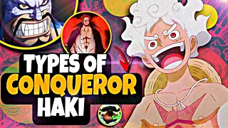 Types Of Conqueror Haki In Onepiece Explained In Hindi [upl. by Nered961]