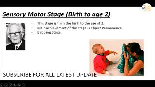 Sensory Motor Stage by Piaget  KVS DSSSB DEd Teaching [upl. by Ygiaf]