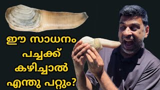 ഈ സാധനം പച്ചക്ക് കഴിച്ചാൽ  Eating raw Geoduck [upl. by Brita]