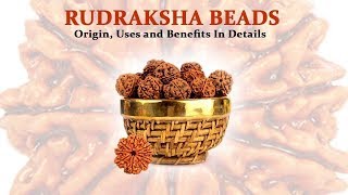 Origin of Rudraksha  Shiva Tears  Rudraksha Tree Origin  Sakhashree Neeta [upl. by Yerffeg]