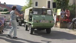 50 Jahre Haflinger Parade Schönberg Teil 2 [upl. by Ainotahs]