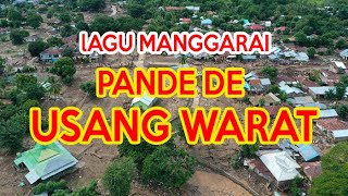 Usang Warat LaguManggarai Sius Magung ntt bencanattt usangwarat pandedeusangwarat banjirntt [upl. by Ynohtnaleahcim957]