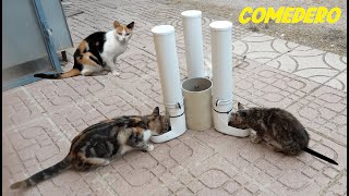 Comedero Casero para Gatos callejeros [upl. by Jeremy]