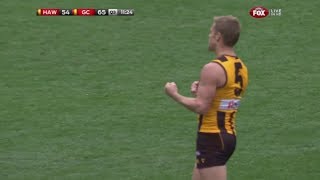 AFL 2013 Round 9  Hawthorn highlights vs Gold Coast [upl. by Jandy]