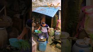 Amazing Chicken Give Good Luck Man funny chicken chickeneggs egg viral farmlife wildlife [upl. by Yhtak]