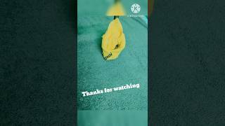 Keep your towel folding tips towelart ytshorts shorts subscribe trending viralvideo fold [upl. by Derry]