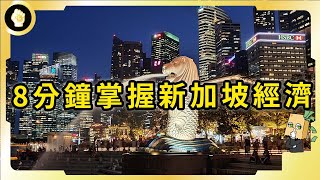 除了金融，新加坡還是高科技產品出口國、頂級製藥國？製造業GDP比香港高20倍！ [upl. by Redwine]