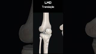 Joelho Translação ant 1  Movimento  Programa Anatomia 3D Software shorts anatomy biology [upl. by Augustus]