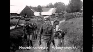 Zobacz kiedy zielone światło zabrania wjazdu na skrzyżowanie [upl. by Gurolinick]