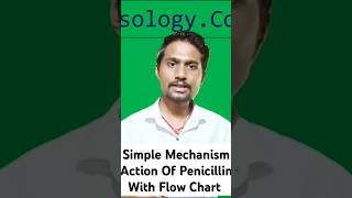 Mechanism Action Of Beta Lactam Antibiotics In pharmocolog For Bsc Nursing 4th Semester nursing [upl. by Beryl]