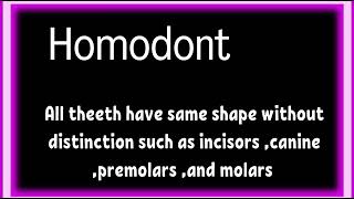 types of dentition [upl. by Spurgeon446]