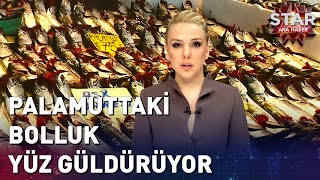 Palamuttaki Bolluk Yüzleri Güldürüyor [upl. by Wenona639]