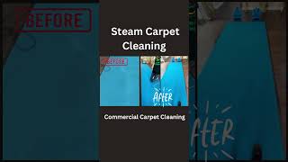 Carpet Cleaning Commercial [upl. by Ynnohj]