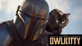 If Baby Yoda was a Cat Mandalorian  OwlKitty [upl. by Nicolina447]