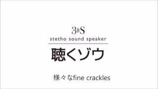 stetho sound speaker聴くゾウで聴く fine crackles [upl. by Gorges648]